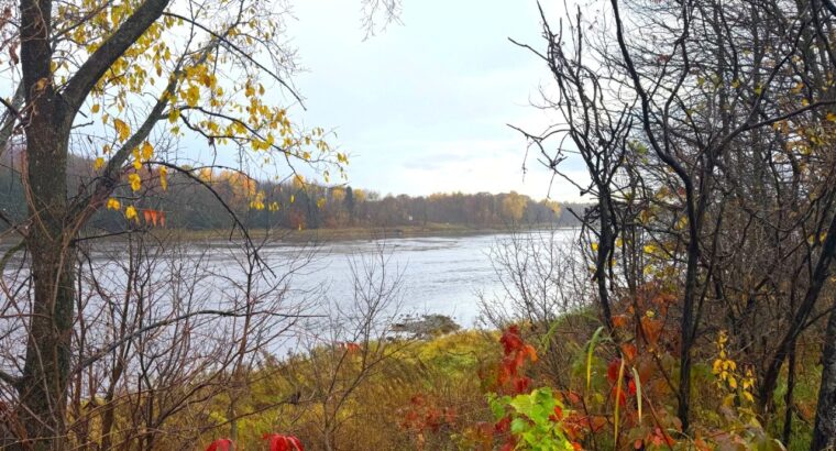 St-Félix-de-Kingsey (Ctre-du-Québec) : Terre 423ac