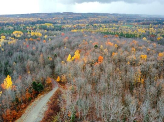 St-Félix-de-Kingsey (Ctre-du-Québec) : Terre 423ac
