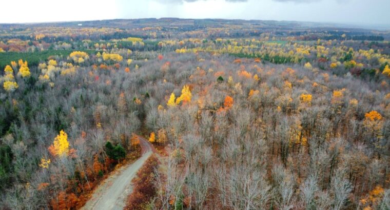 St-Félix-de-Kingsey (Ctre-du-Québec) : Terre 423ac