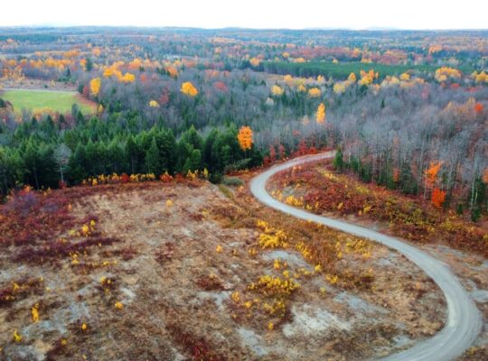 St-Félix-de-Kingsey (Ctre-du-Québec) : Terre 423ac