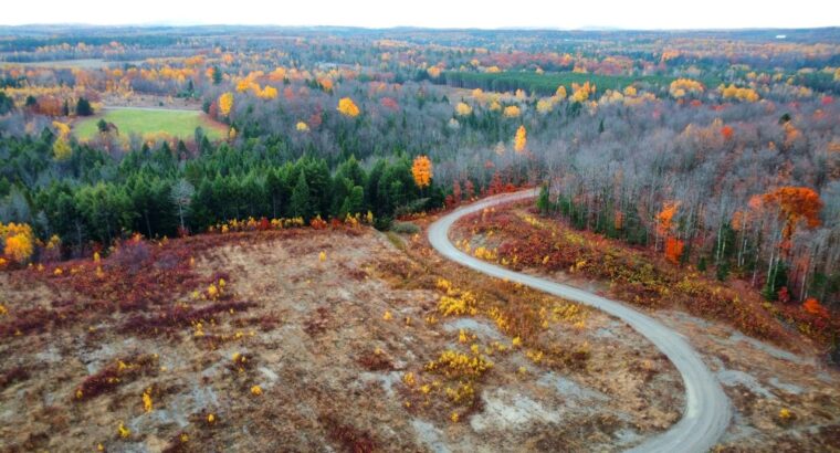 St-Félix-de-Kingsey (Ctre-du-Québec) : Terre 423ac