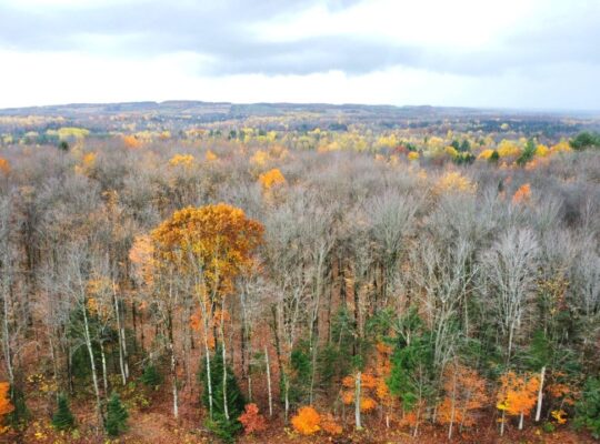 St-Félix-de-Kingsey (Ctre-du-Québec) : Terre 423ac