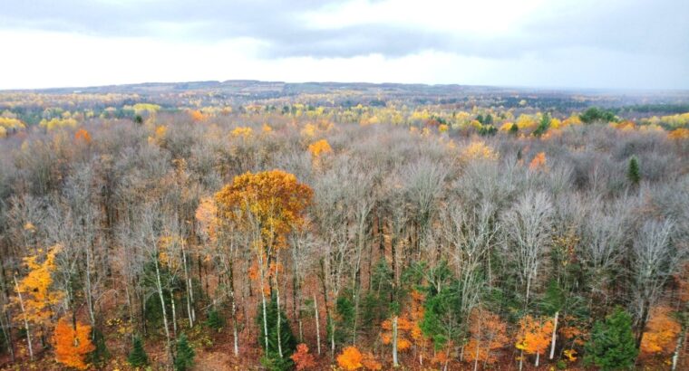 St-Félix-de-Kingsey (Ctre-du-Québec) : Terre 423ac