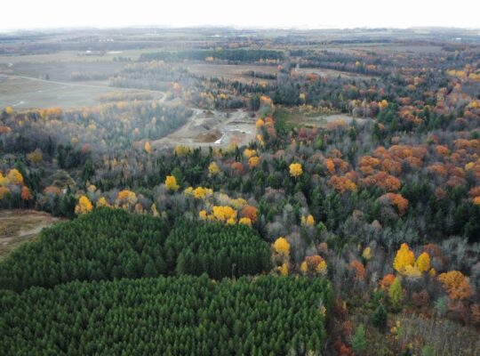 St-Félix-de-Kingsey (Ctre-du-Québec) : Terre 423ac