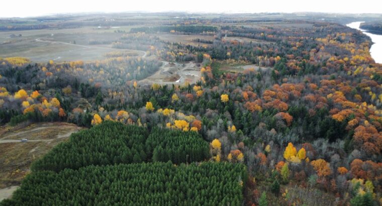 St-Félix-de-Kingsey (Ctre-du-Québec) : Terre 423ac
