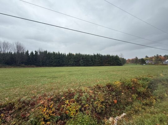 St-Félix-de-Kingsey (Ctre-du-Québec) : Terre 423ac