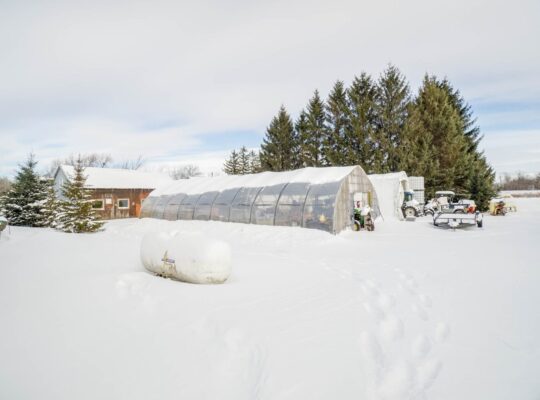 Coteau-du-Lac (Montérégie) : Vignoble 28ac Maison