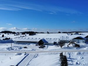 Tring-Jonction (Chaudière-App) Ferme bovine 149ac