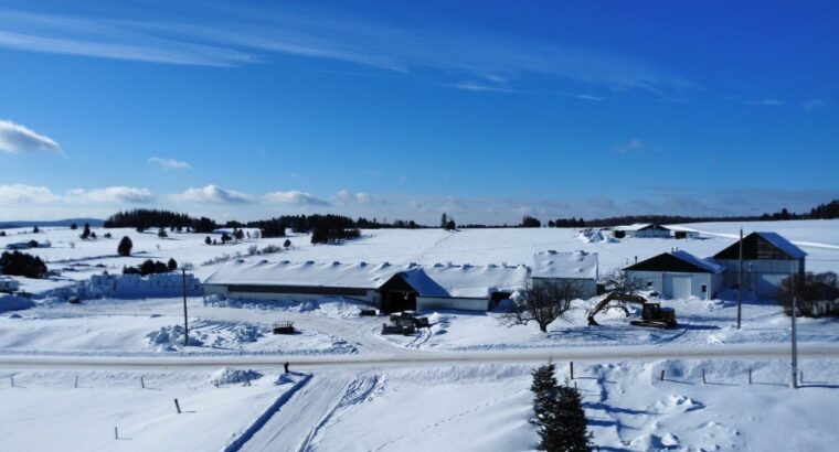 Tring-Jonction (Chaudière-App) ...