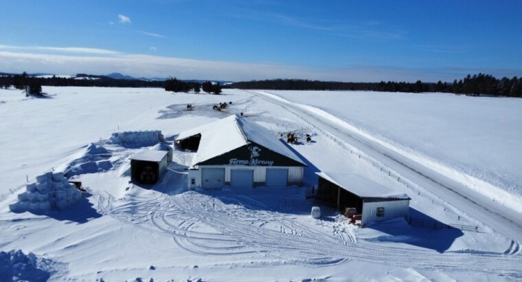 Tring-Jonction (Chaudière-App) Ferme bovine 149ac
