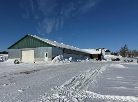 Tring-Jonction (Chaudière-App) Ferme bovine 149ac