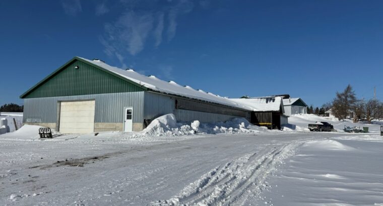 Tring-Jonction (Chaudière-App) Ferme bovine 149ac