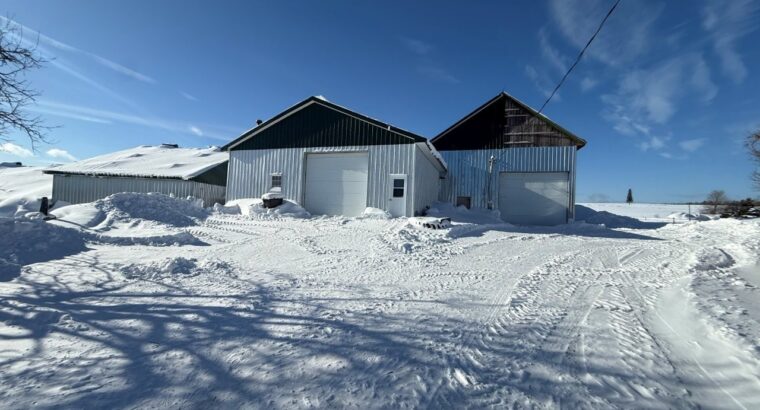 Tring-Jonction (Chaudière-App) Ferme bovine 149ac