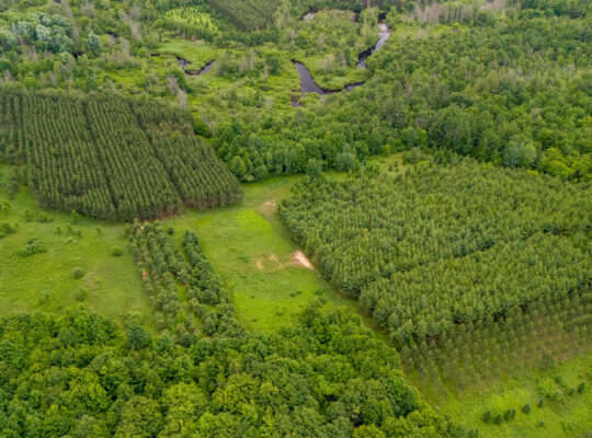 ENDROIT MAGNIFIQUE À HEMMINGFORD! 😍