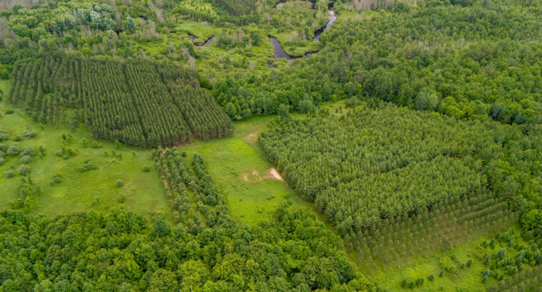 ENDROIT MAGNIFIQUE À HEMMINGFORD! 😍