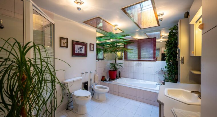 🛥🌊 LE RÊVE DEVIENT RÉALITÉ, ENDROIT UNIQUE! 🌊🛥