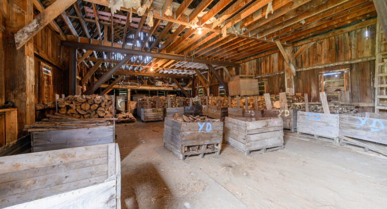 ENDROIT MAGNIFIQUE À HEMMINGFORD! 😍