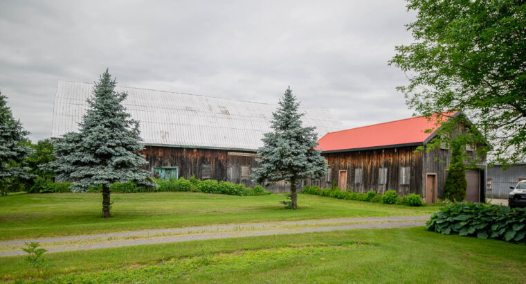 ENDROIT MAGNIFIQUE À HEMMINGFORD! 😍