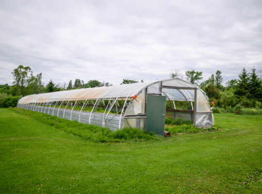 ENDROIT MAGNIFIQUE À HEMMINGFORD! 😍