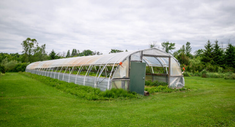 ENDROIT MAGNIFIQUE À HEMMINGFORD! 😍