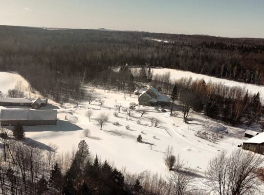 Wotton (Estrie) : Domaine 161 acres, érablière