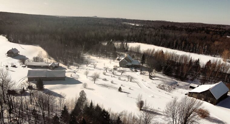 Wotton (Estrie) : Domaine 161 acres, érablière