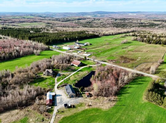 Wotton (Estrie) : Domaine 161 acres, érablière
