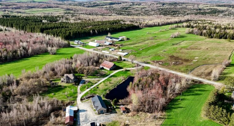 Wotton (Estrie) : Domaine 161 acres, érablière