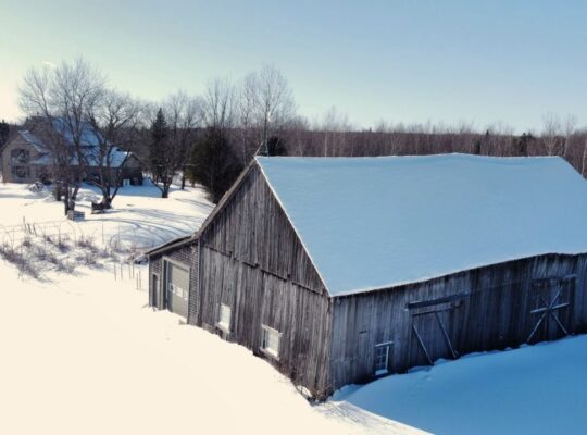Wotton (Estrie) : Domaine 161 acres, érablière