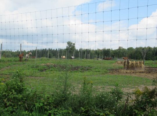 Weedon (Estrie) : Domaine équestre de 71 acres