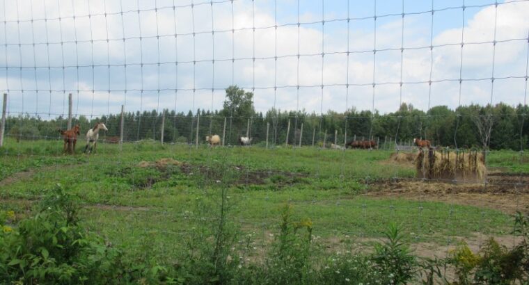 Weedon (Estrie) : Domaine équestre de 71 acres