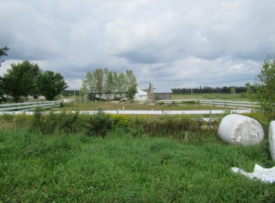 Weedon (Estrie) : Domaine équestre de 71 acres