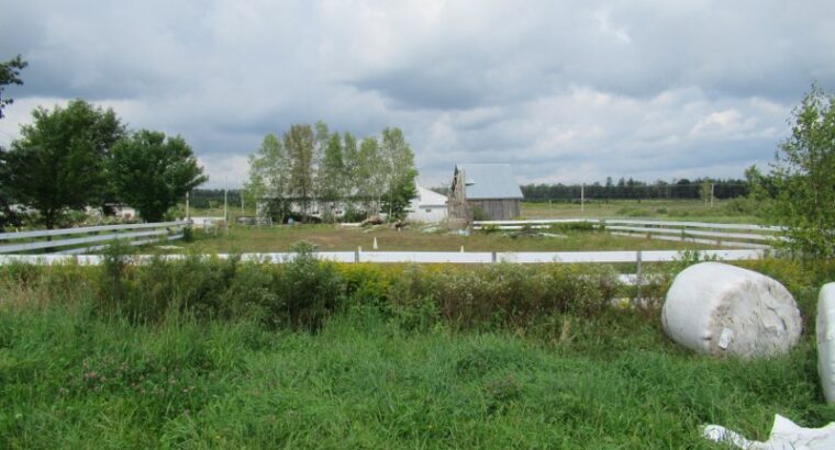 Weedon (Estrie) : Domaine équestre de 71 acres