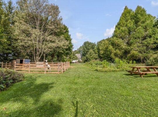 Île-d’Orléans (Capitale-Nationale) : Ferme de lait