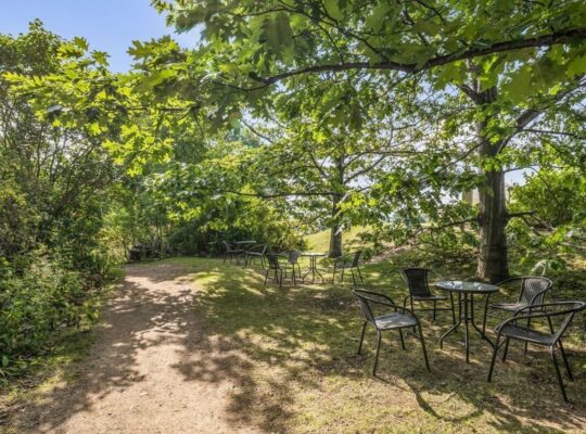 Île-d’Orléans (Capitale-Nationale) : Ferme de lait