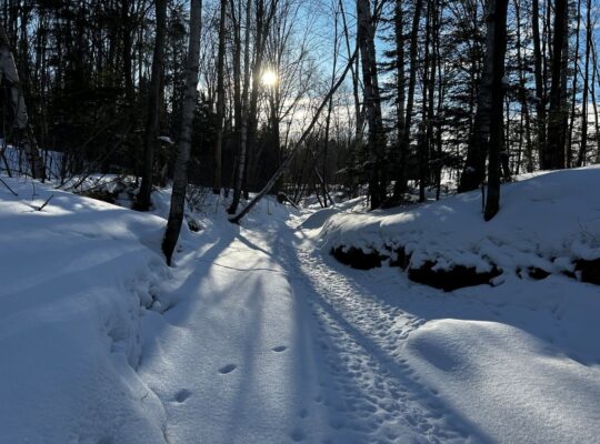St-Léonard-d’Aston (Centre-du-Québec) : Fermette