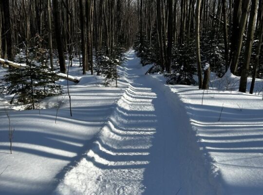 St-Léonard-d’Aston (Centre-du-Québec) : Fermette