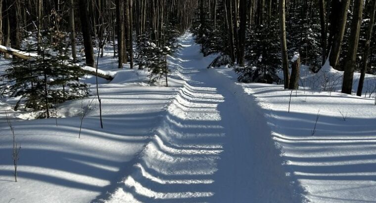 St-Léonard-d’Aston (Centre-du-Québec) : Fermette