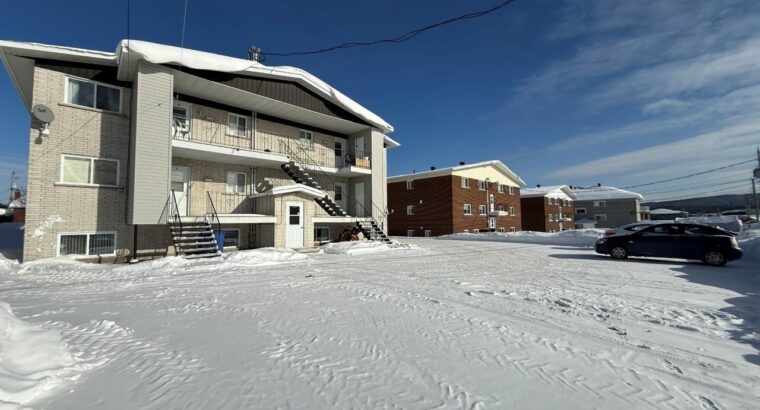 Thetford Mines: Immeuble à revenus 8 logements