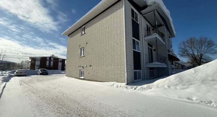 Thetford Mines: Immeuble à revenus 8 logements