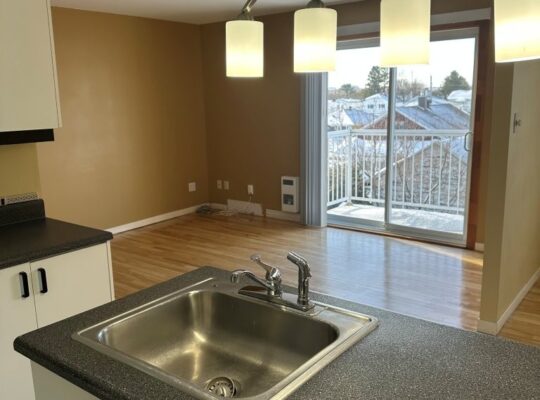 Thetford Mines: Immeuble à revenus 8 logements