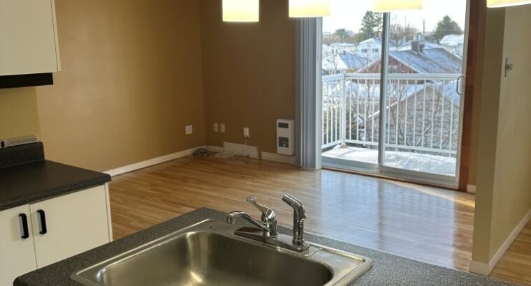 Thetford Mines: Immeuble à revenus 8 logements