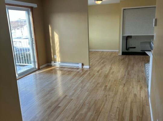 Thetford Mines: Immeuble à revenus 8 logements