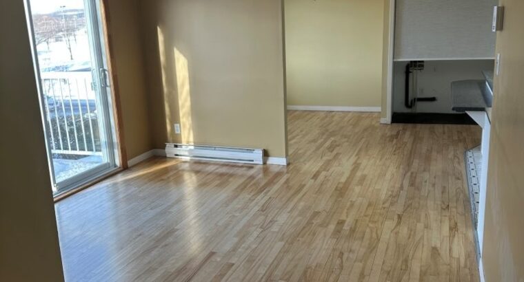 Thetford Mines: Immeuble à revenus 8 logements