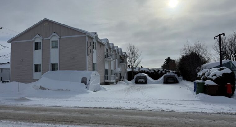 Thetford Mines: Immeuble à revenus 8 logements