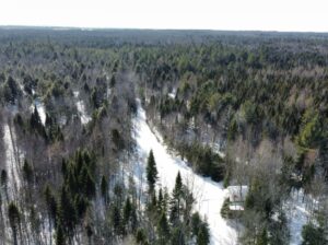 St-Lucien (Centre-du-Québec) : Terre a bois 50 acr