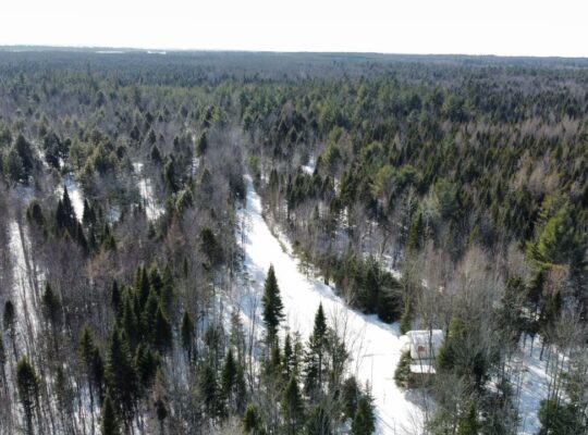 St-Lucien (Centre-du-Québec) : Terre a bois 50 acr