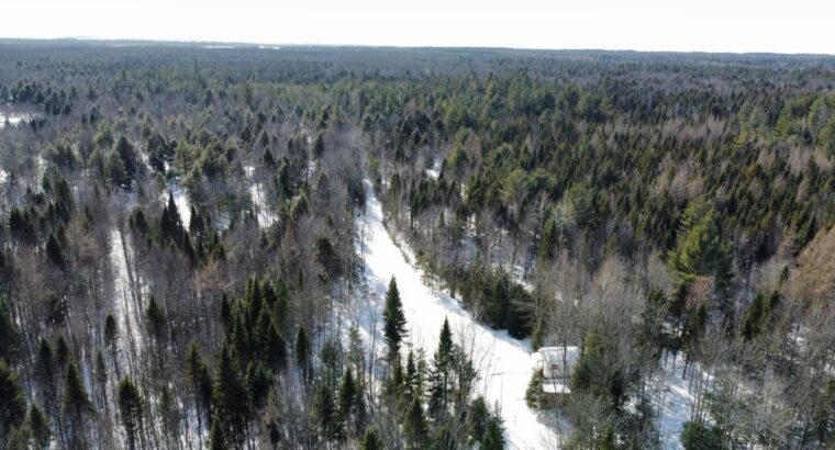 St-Lucien (Centre-du-Québec) : Terre a bois 50 acr