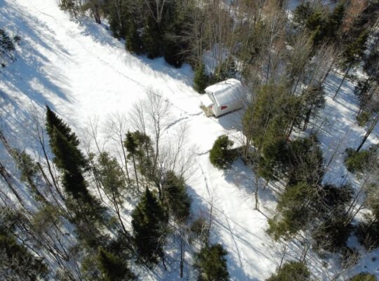 St-Lucien (Centre-du-Québec) : Terre a bois 50 acr
