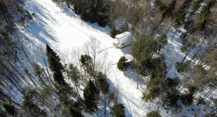 St-Lucien (Centre-du-Québec) : Terre a bois 50 acr